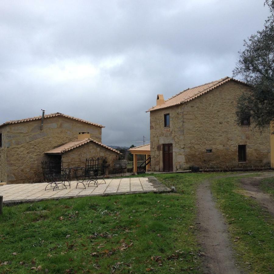 Quinta Damigo Guest House Seia Eksteriør bilde